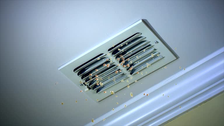 Best Home Air Vent Cleaning  in Port Salerno, FL