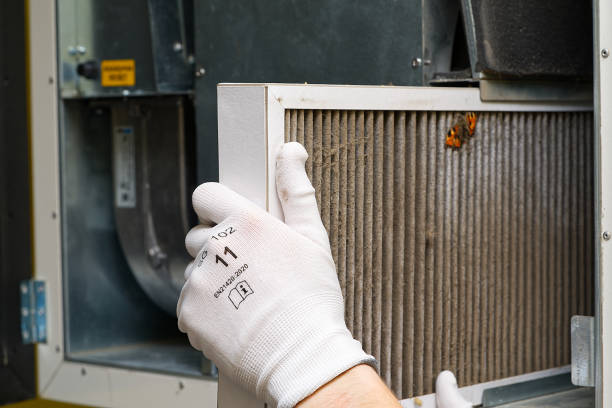 Best Professional Duct Cleaning Services  in Port Salerno, FL