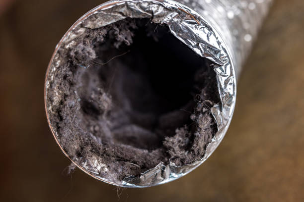 Best Ductwork Cleaning Services  in Port Salerno, FL