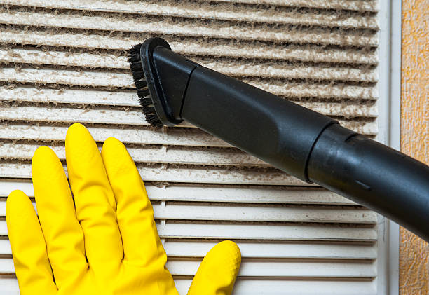 Air Duct Mold Removal in Port Salerno, FL